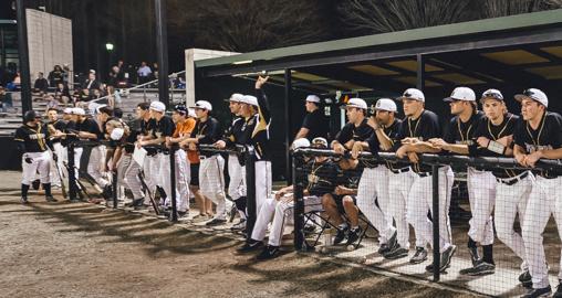 Pirates fall to 2nd-ranked Tigers in series opener
