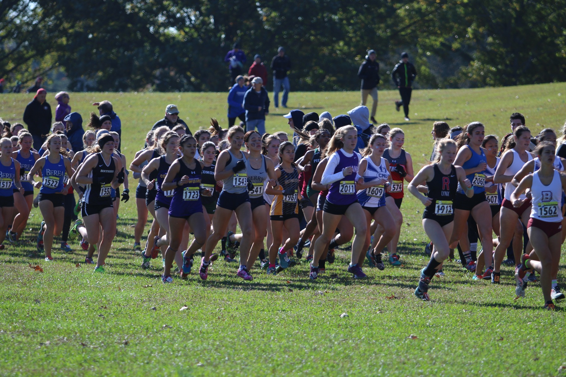 Women's Cross Country Competes In NCAA Regional Championship