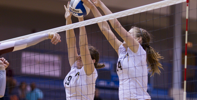 Volleyball extend win streak to 11