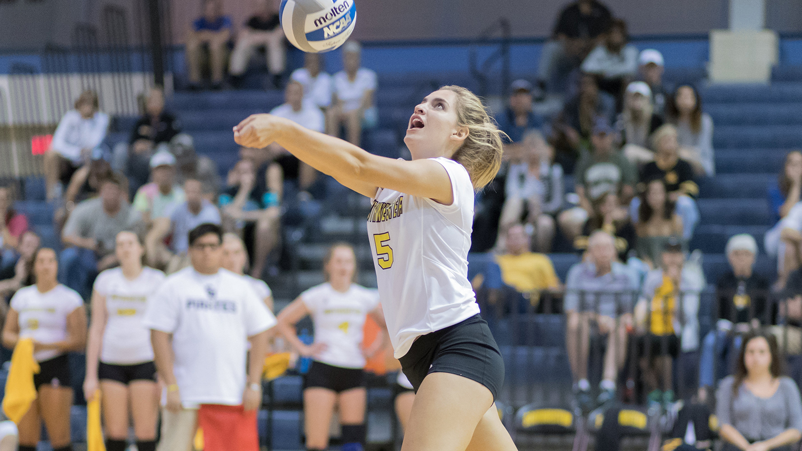 No. 2 Southwestern Sweeps Texas Lutheran to Place Third at SCAC Tourney