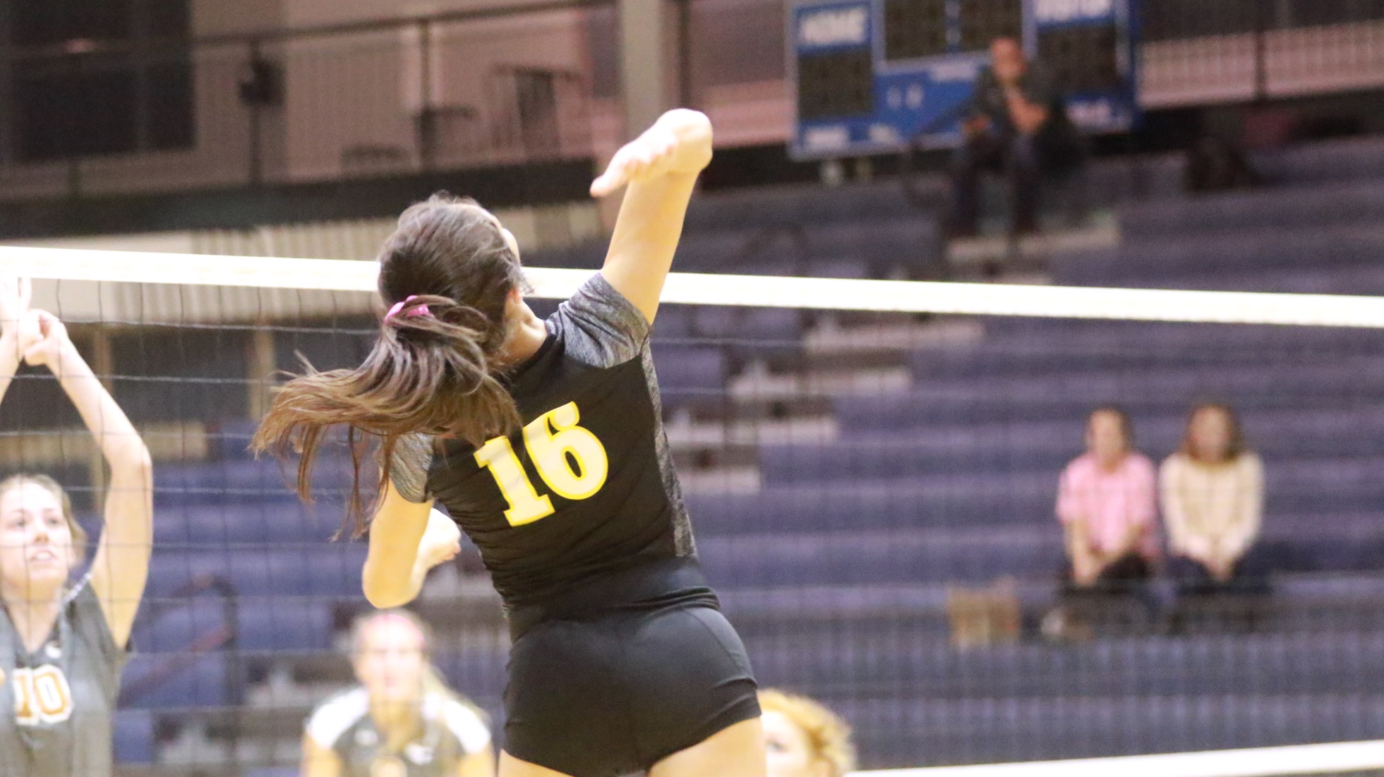 Volleyball Sweeps Weekend Matches With Win Over Austin College