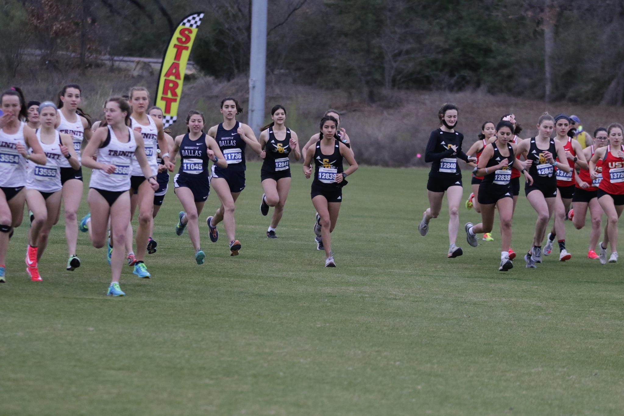 Women's Cross Country Named to USTFCCCA All-Academic Teams