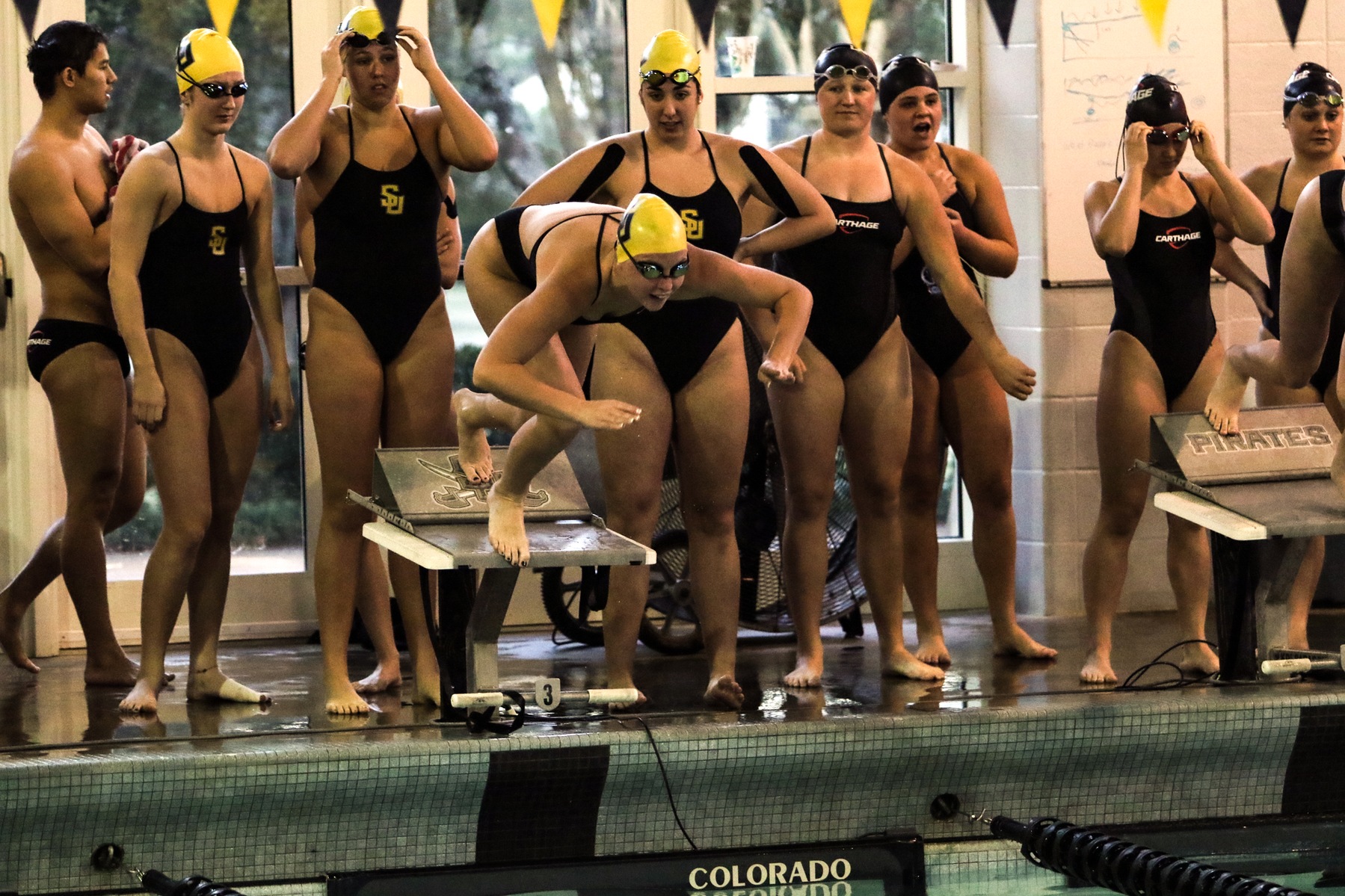 Women's Swimming and Diving Competes Against Carthage