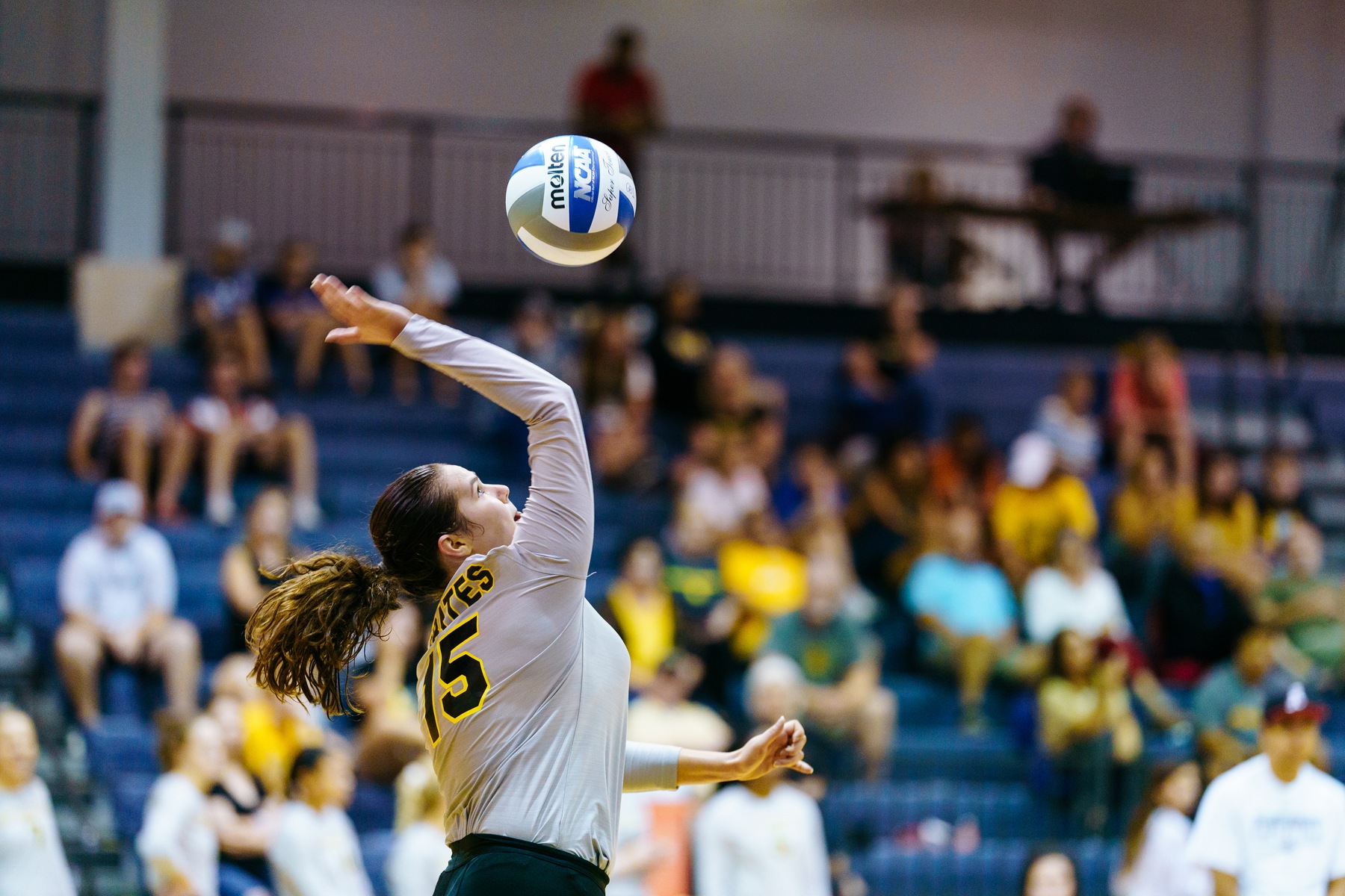 Volleyball Aces Match Against Austin College in Three Sets