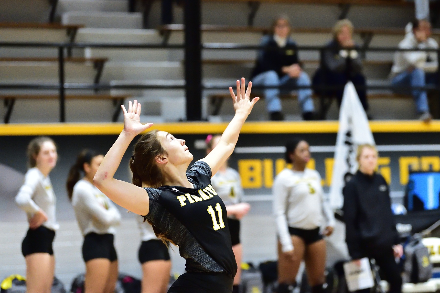 Volleyball Loses to Austin College in Four Sets